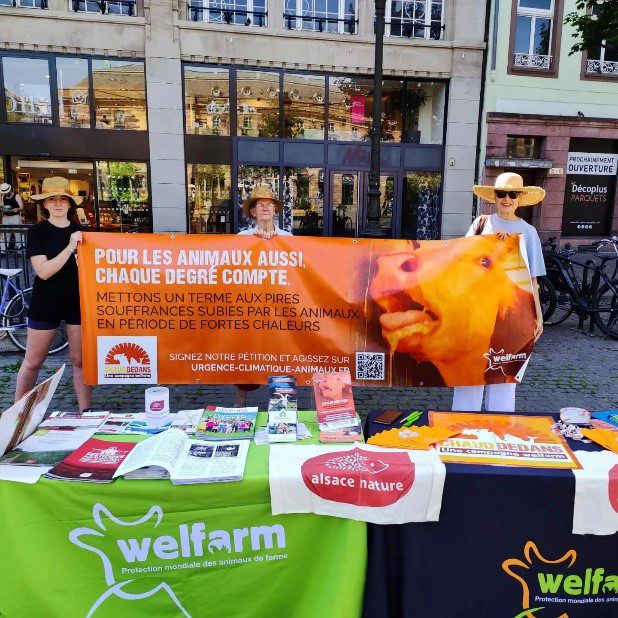 Welfarm vient pétitionner à Strasbourg