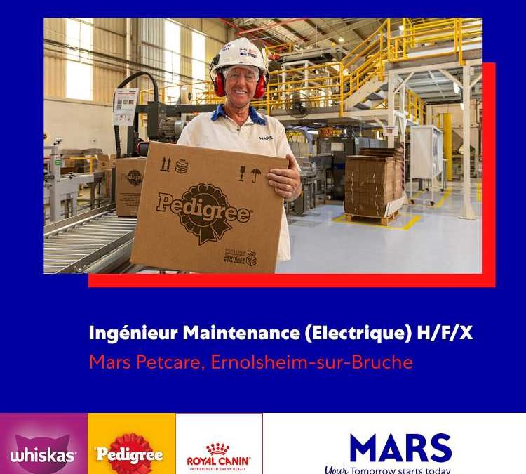 Investissements étrangers 2025: l&rsquo;Alsace toujours performante